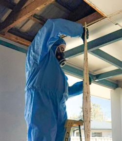 asbestos-removal asbestos-removal